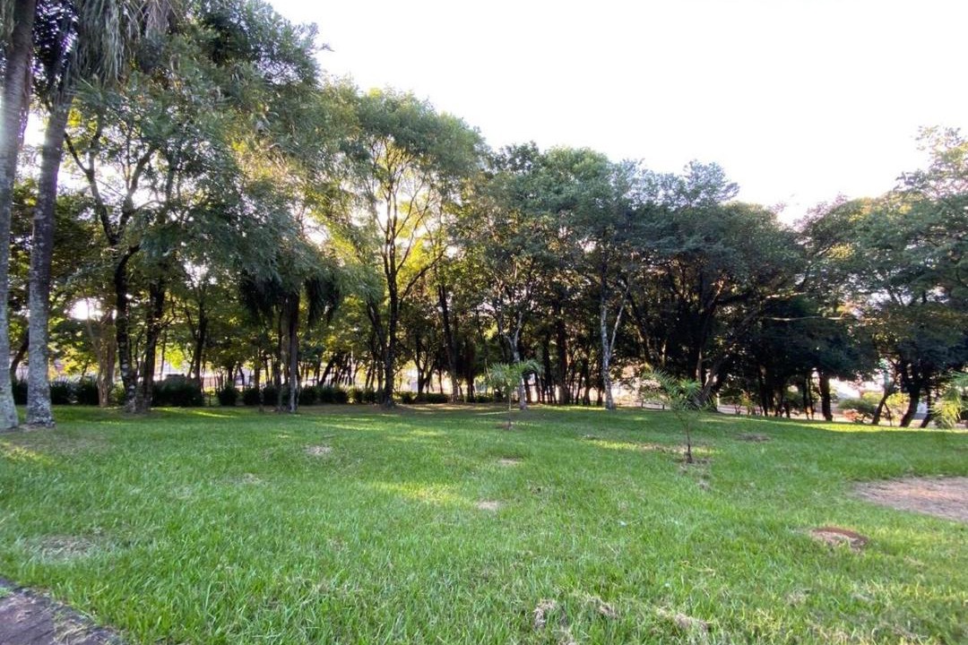 Photo of Others in Parque das Palmeiras