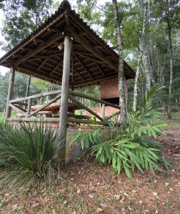 Photo of Others in Caxias do Sul
