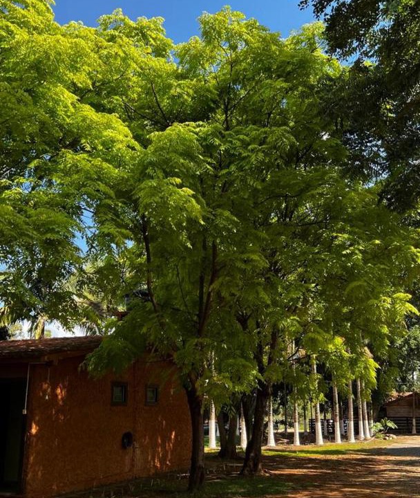 Photo of Others in Carmo do Rio Claro