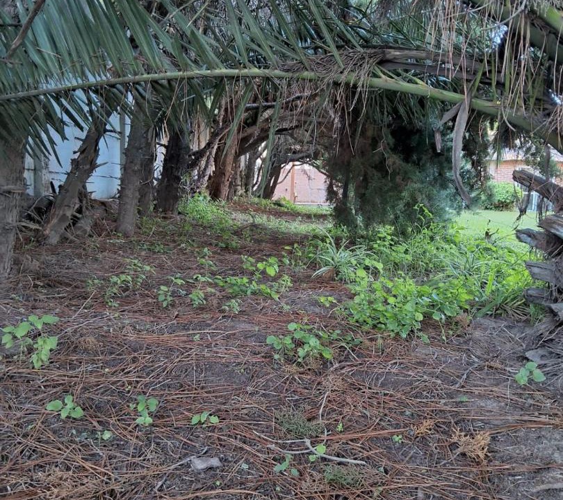Photo of Others in Arroyo Leyes