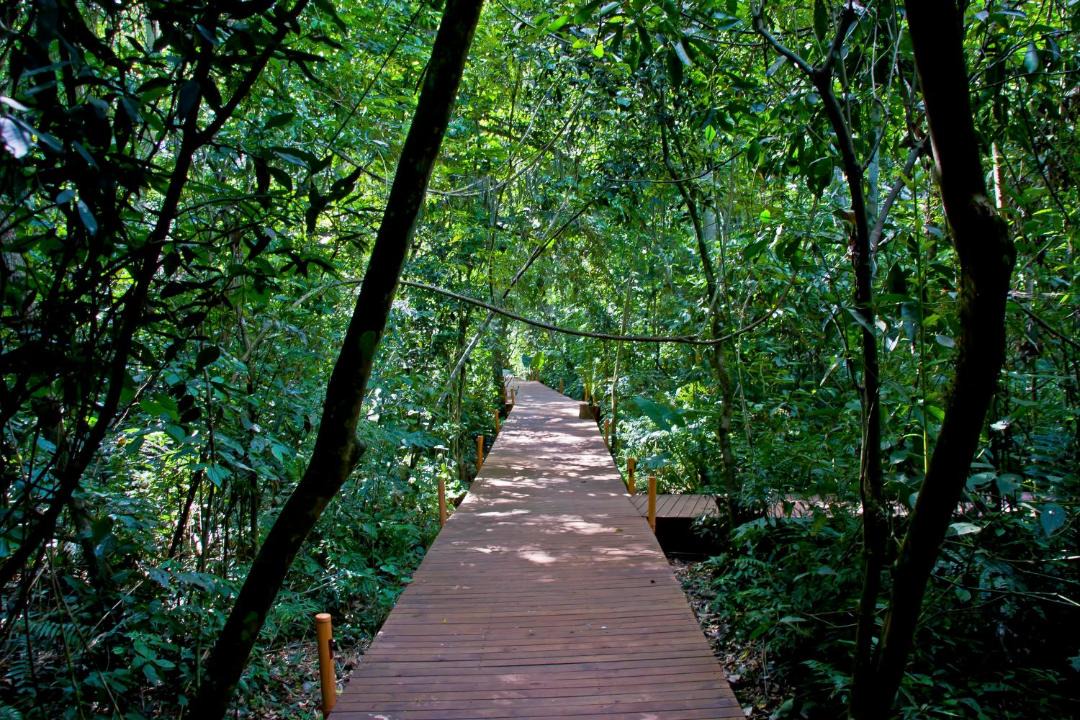 Photo of Others in Puerto Iguazu
