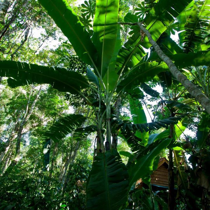 Photo of Others in Puerto Iguazu