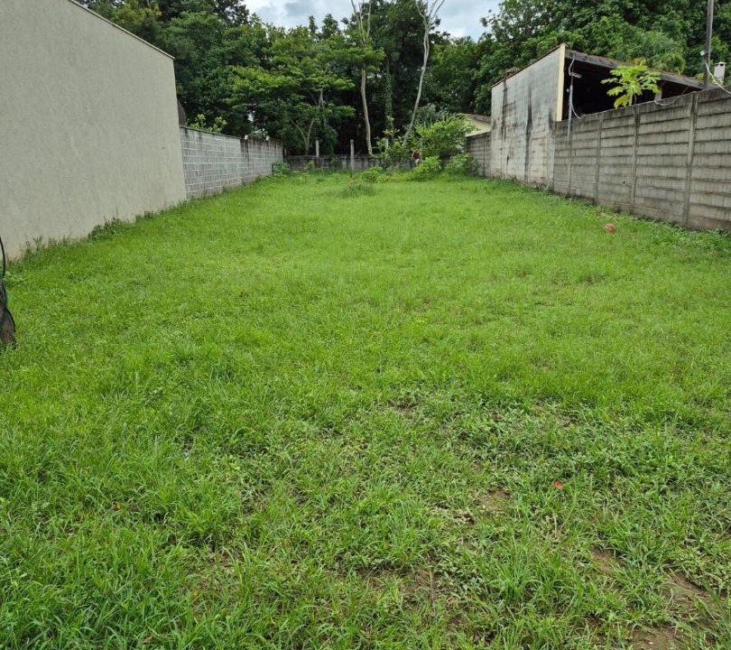 Photo of Others in Serra Azul