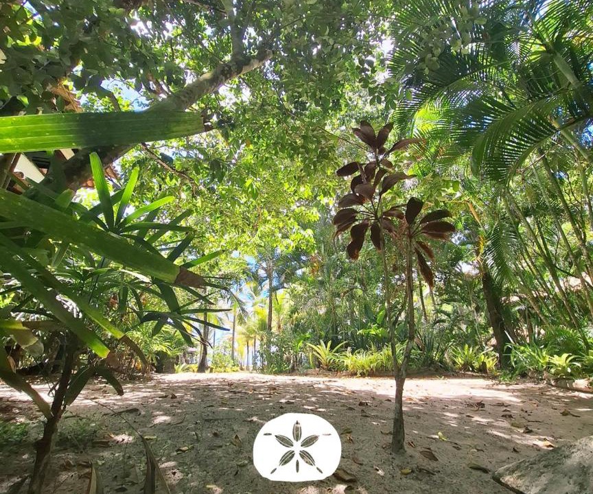 Photo of Others in Serra Grande
