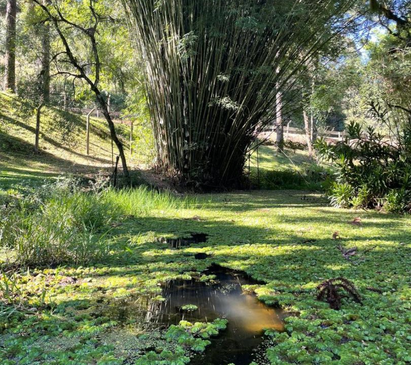 Photo of Others in Campo Largo