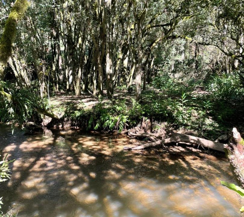 Photo of Others in Campo Largo