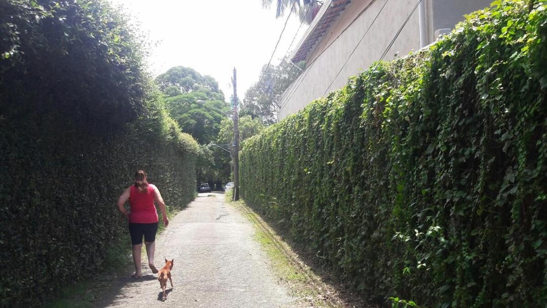 Photo of Others in Sao Paulo