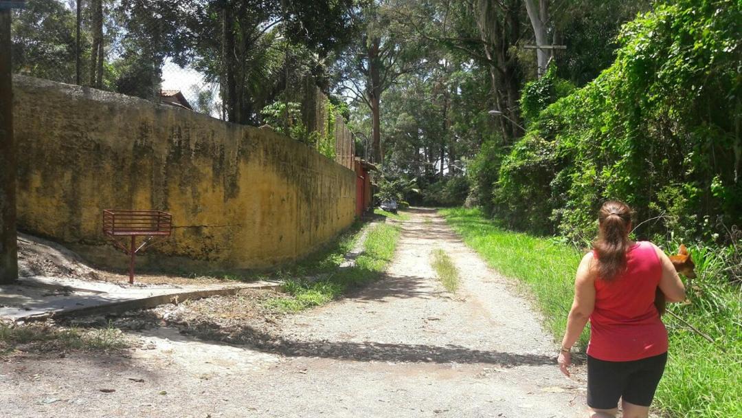Photo of Others in Sao Paulo