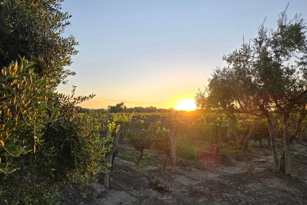 Photo of Others in Cuadro Nacional