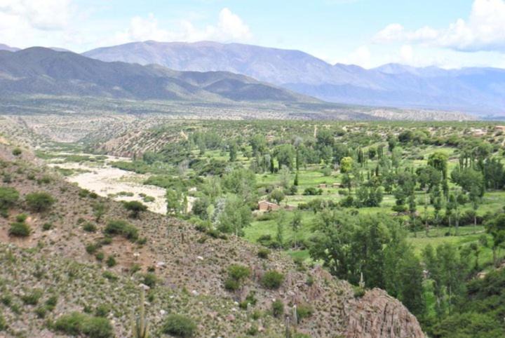Photo of Others in Humahuaca
