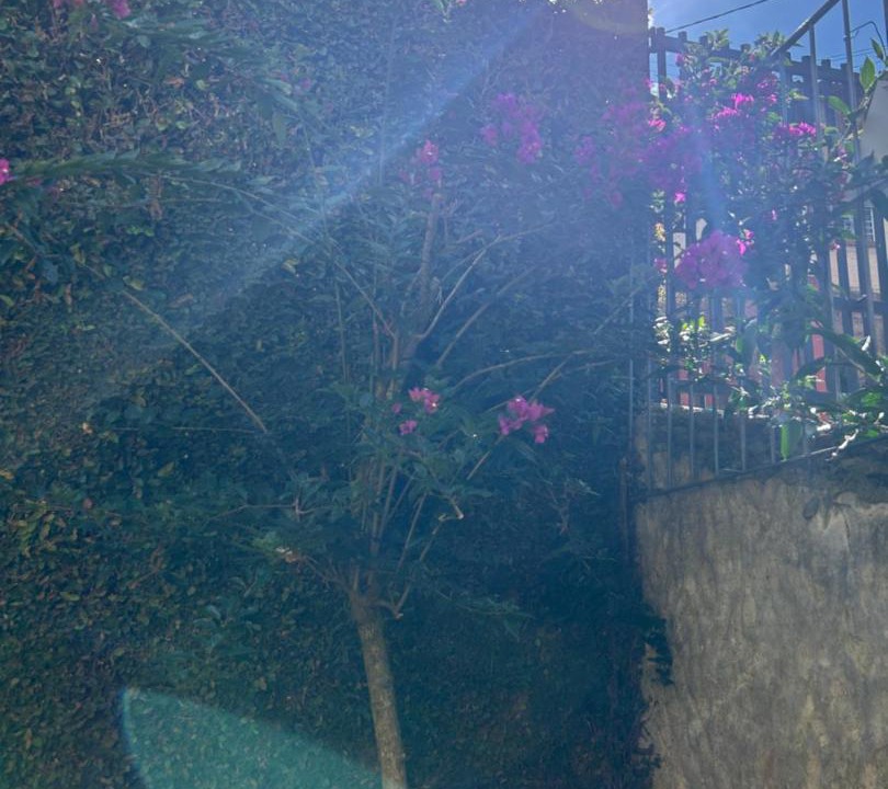 Photo of Others in Vila Britania