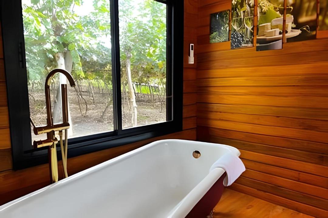 Photo of Bathroom in Santa Tereza