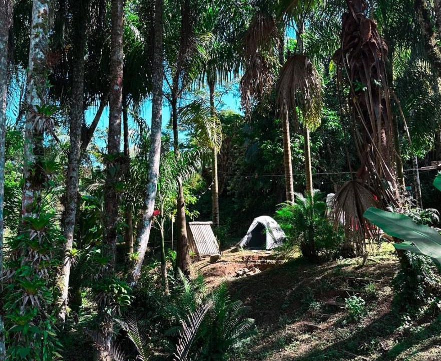 Photo of Others in Juquia