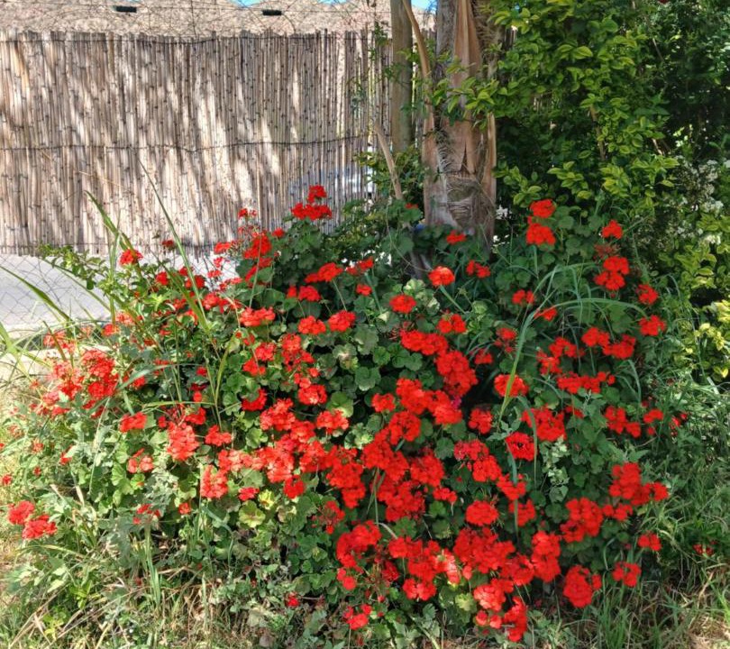Photo of Outdoor in Chilecito