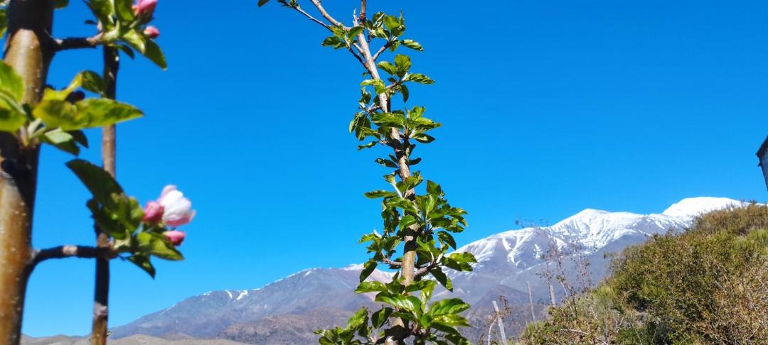 Photo of Others in Potrerillos