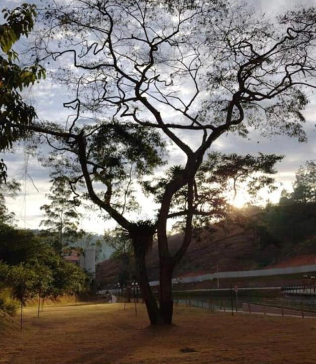 Photo of Others in Itaipava