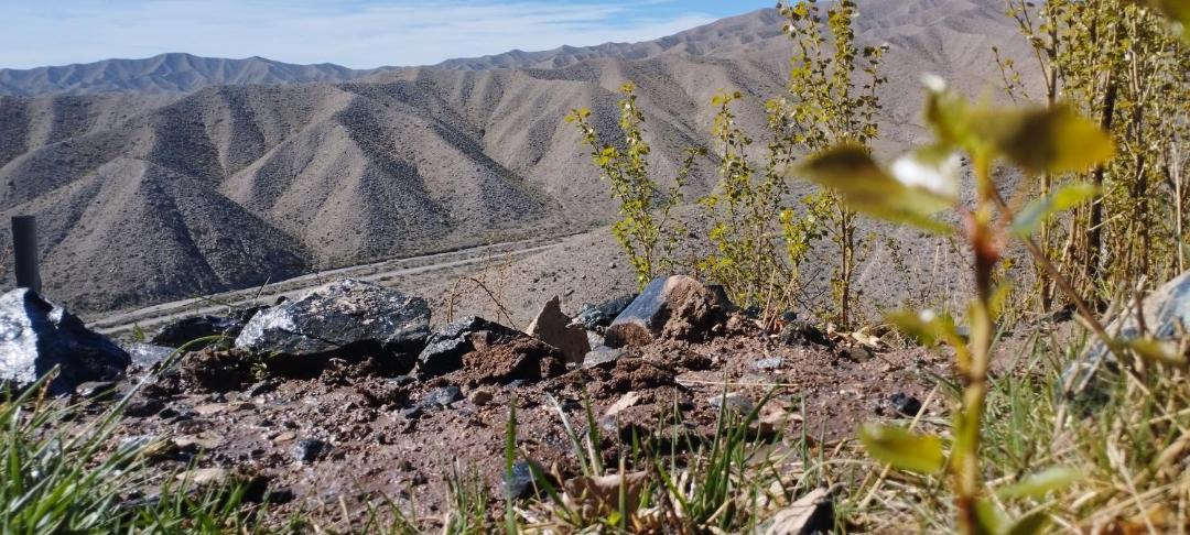 Photo of Others in Potrerillos