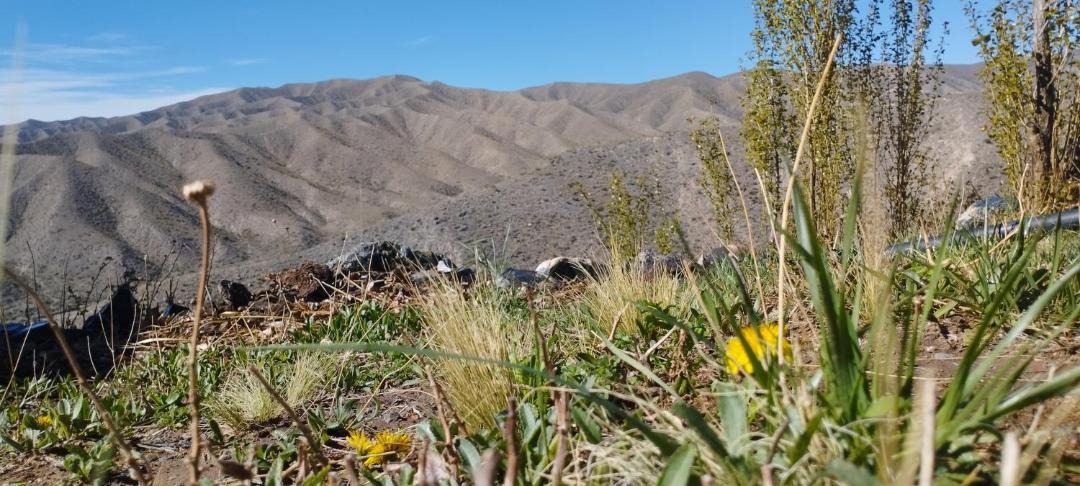 Photo of Others in Potrerillos