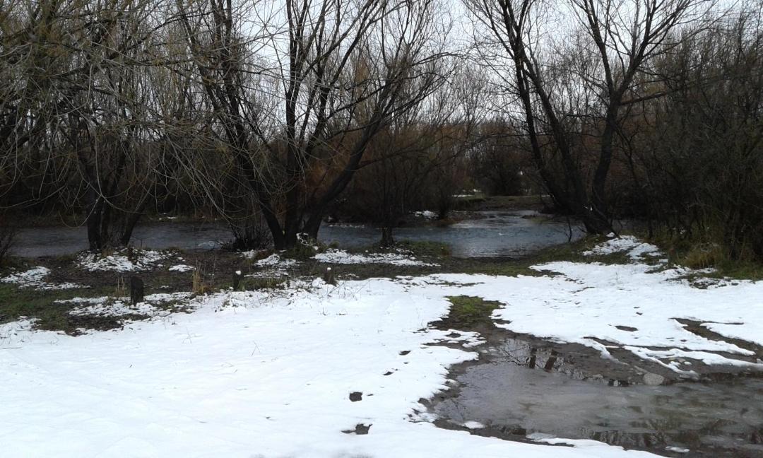 Photo of Others in Junin de los Andes