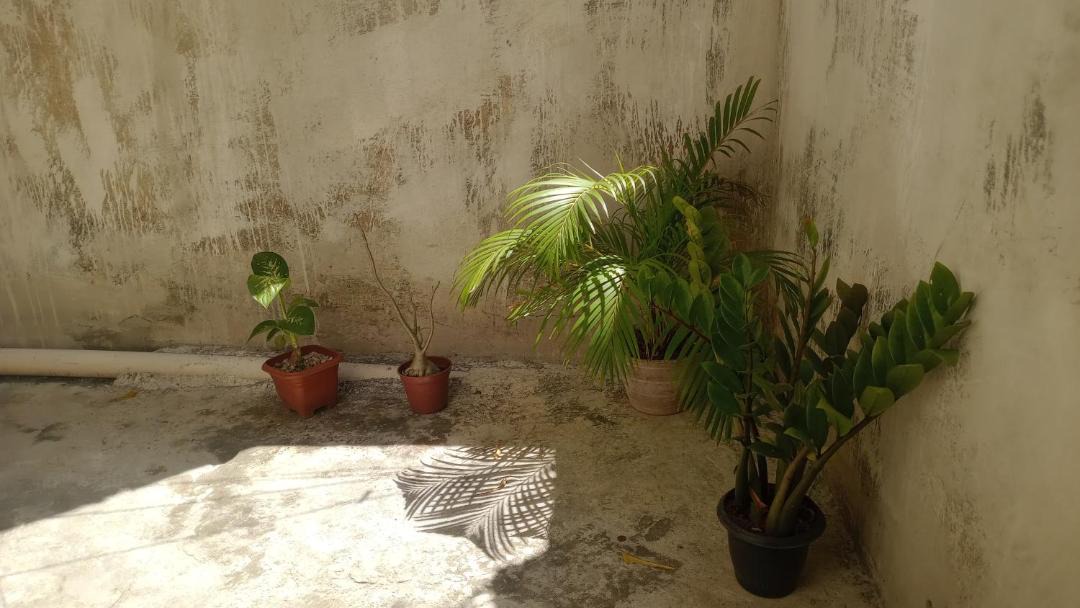 Photo of Others in Salvador