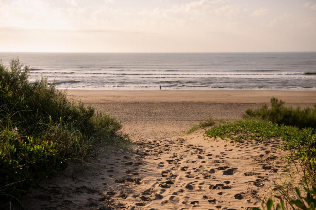 Photo of Others in Ostende