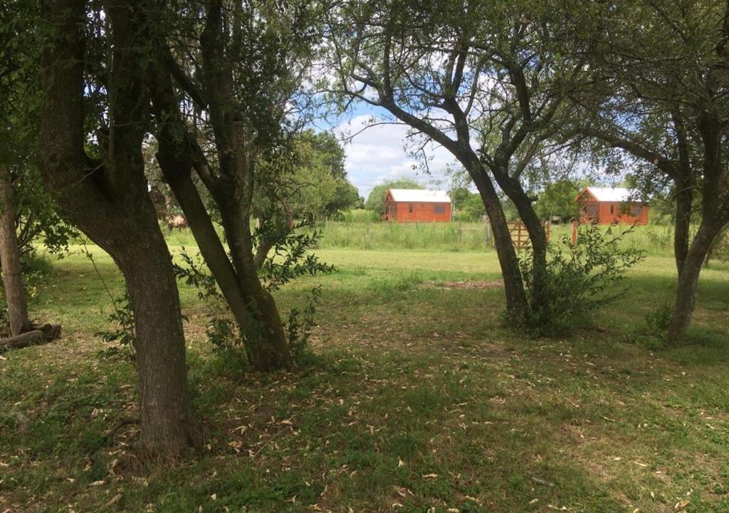 Photo of Others in Gualeguay