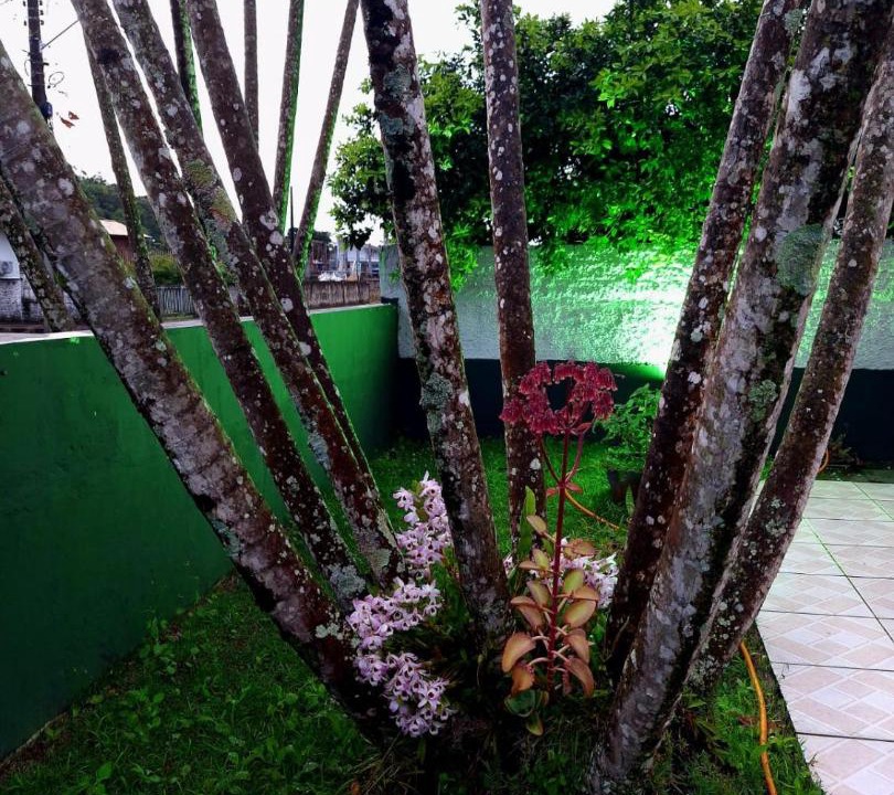 Photo of Others in Governador Celso Ramos