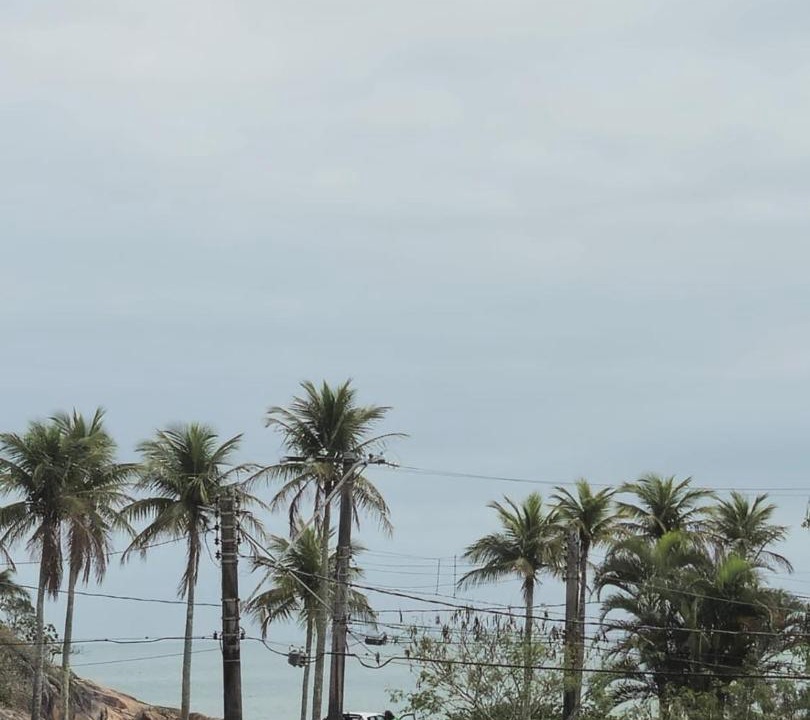 Photo of Others in Guaiuba
