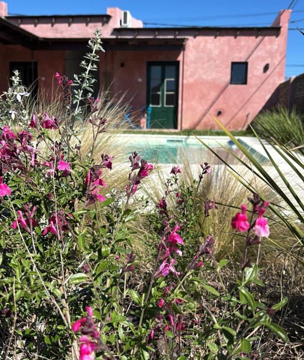 Photo of Others in San Antonio de Areco