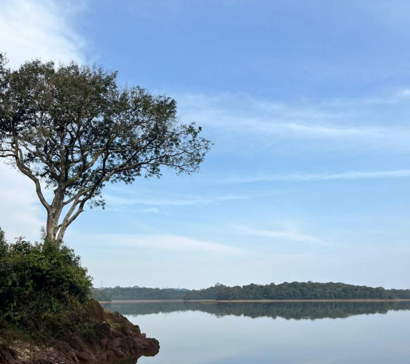 Photo of Others in Sao Bernardo do Campo