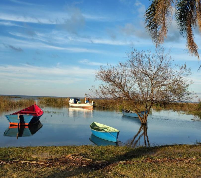 Photo of Others in Sao Lourenco do Sul