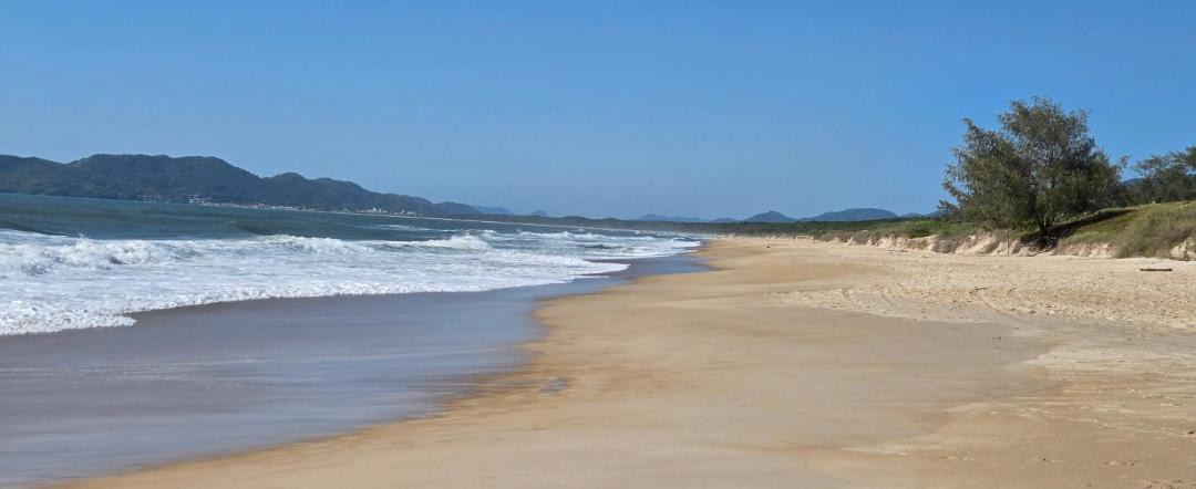 Photo of Others in Rio Vermelho Norte