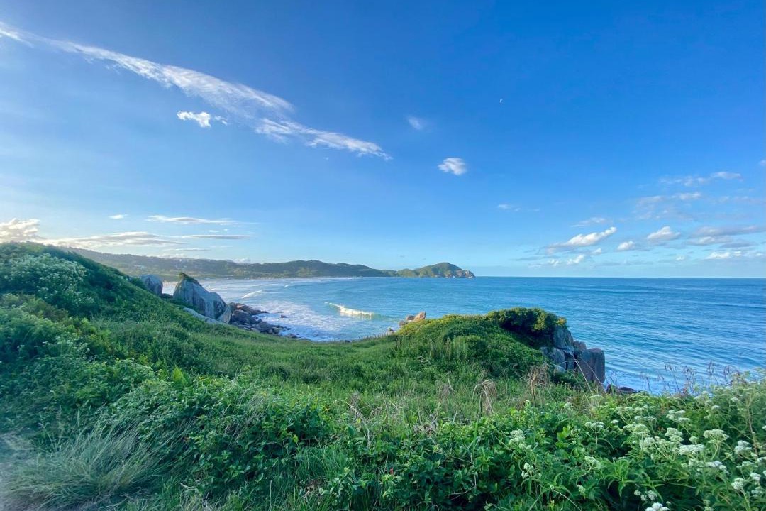 Photo of Others in Praia do Rosa