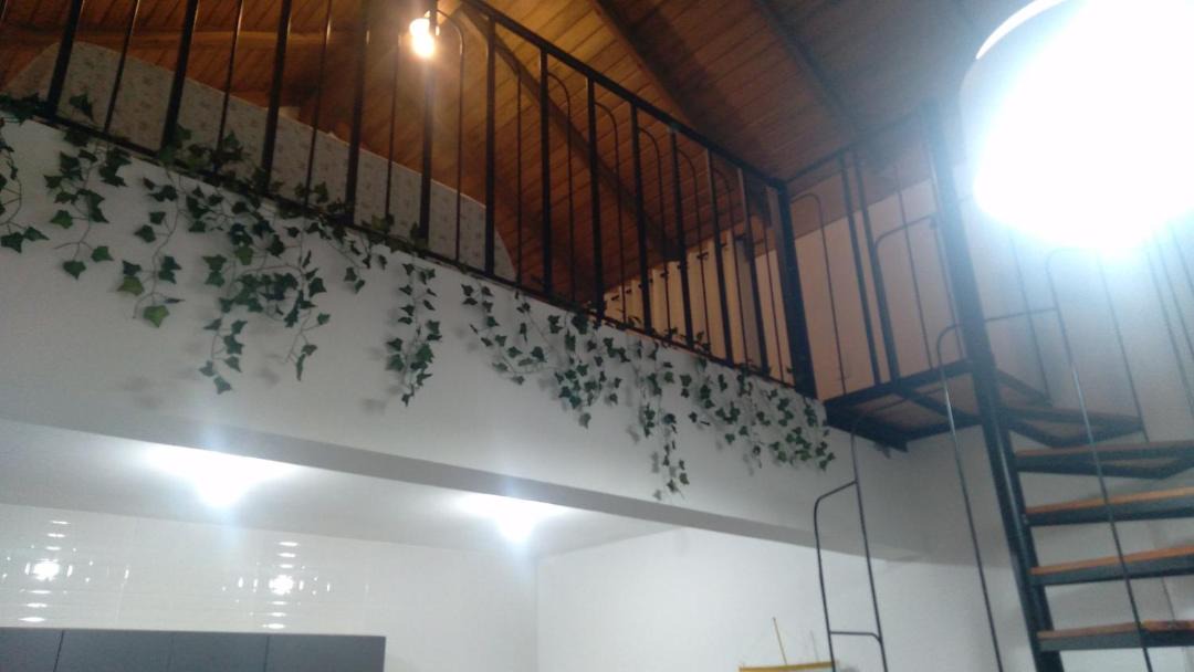 Photo of Others in Ponta do Papagaio