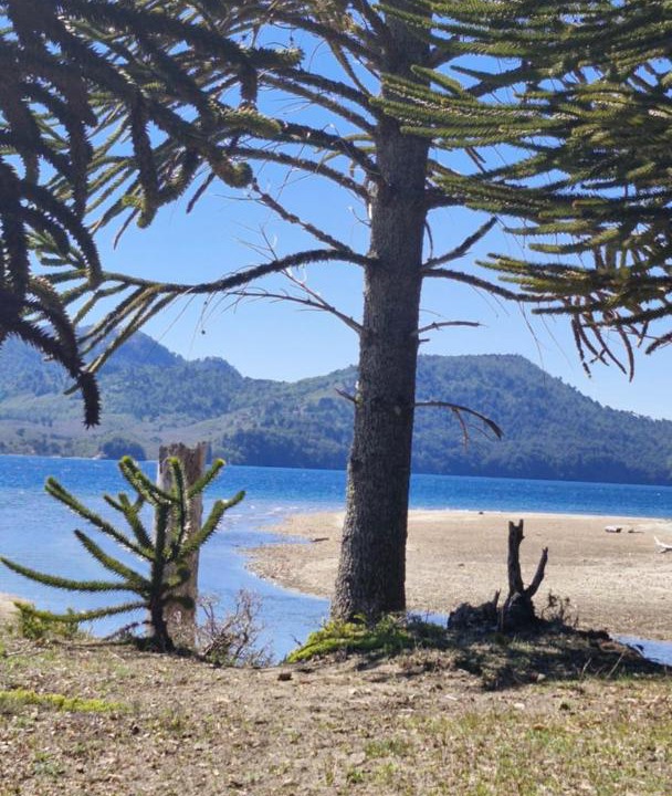 Photo of Others in Villa Pehuenia