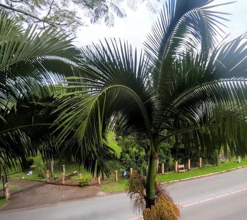 Photo of Others in Florianopolis