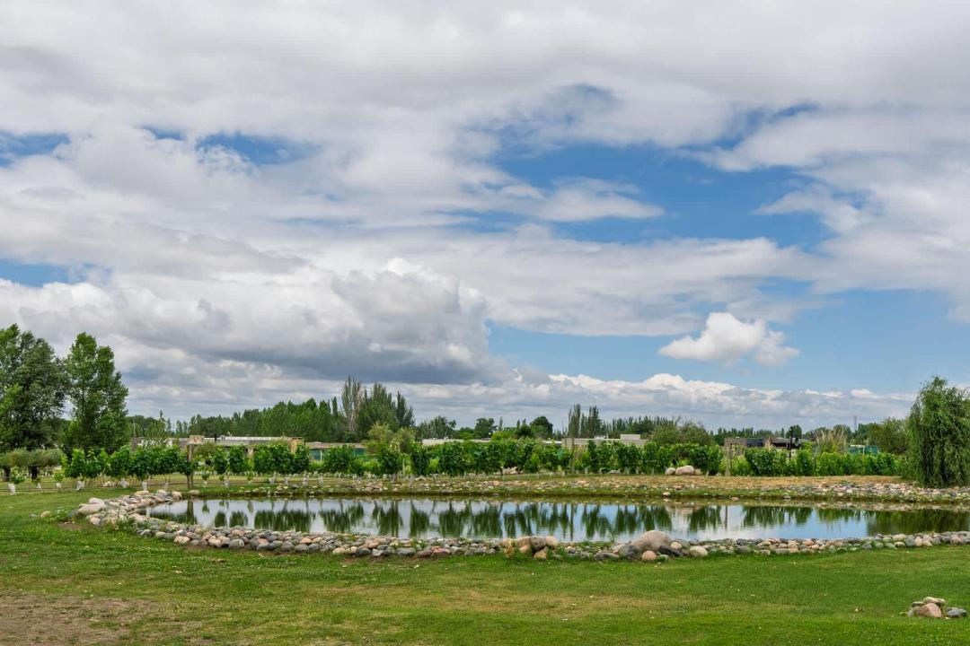 Photo of Others in Tupungato