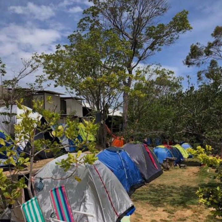 Photo of Others in Solemar