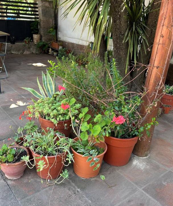 Photo of Others in La Cumbre