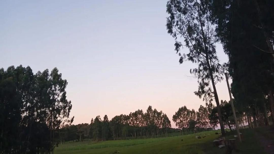 Photo of Others in Campos Novos