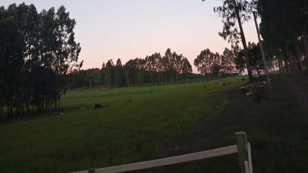 Photo of Others in Campos Novos