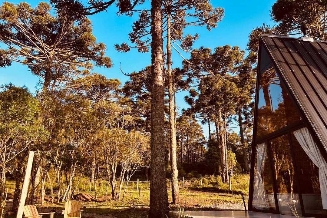 Photo of Others in Cambara do Sul