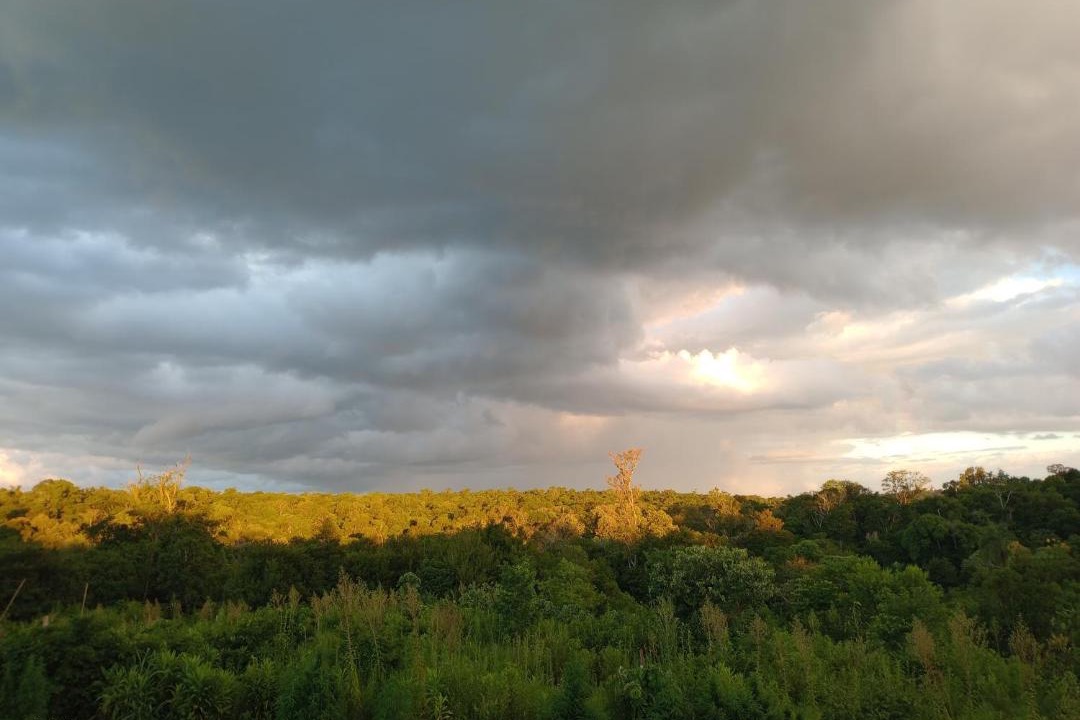 Photo of Others in Puerto Iguazu