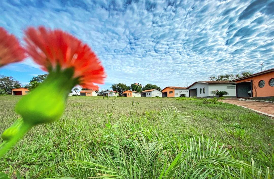 Photo of Others in Jacarezinho