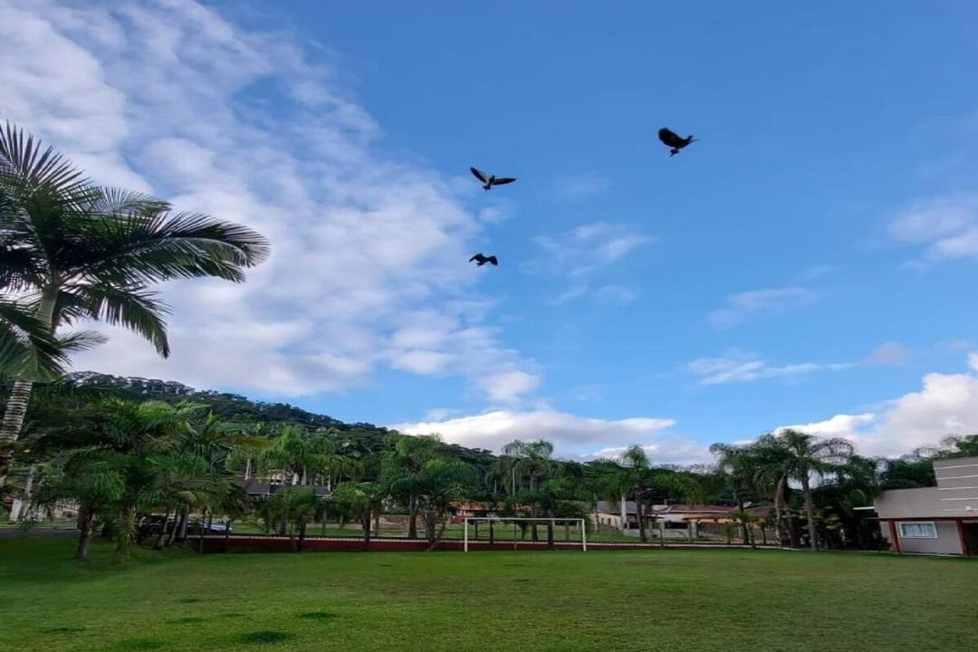 Photo of Others in Barra do Rio Cerro
