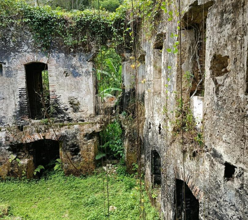 Photo of Others in Ilha Comprida