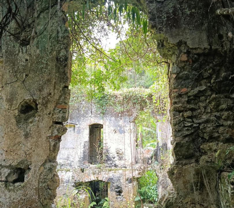 Photo of Others in Ilha Comprida