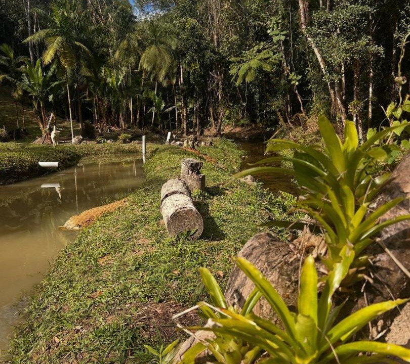 Photo of Others in Santa Rita do Ribeira