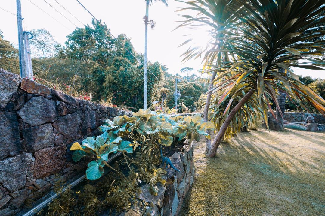 Photo of Others in Florianopolis