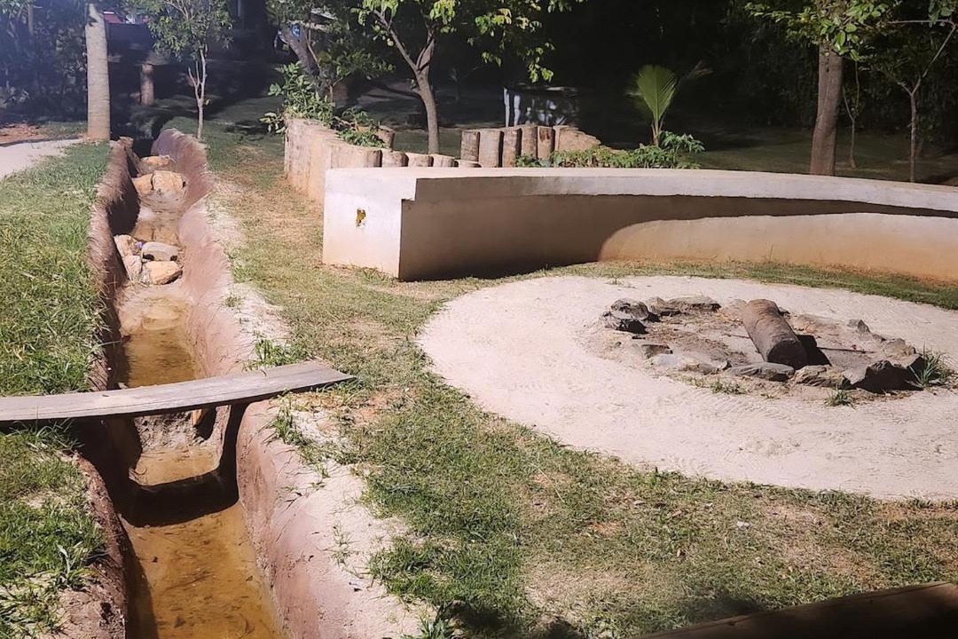 Photo of Others in Caetanopolis
